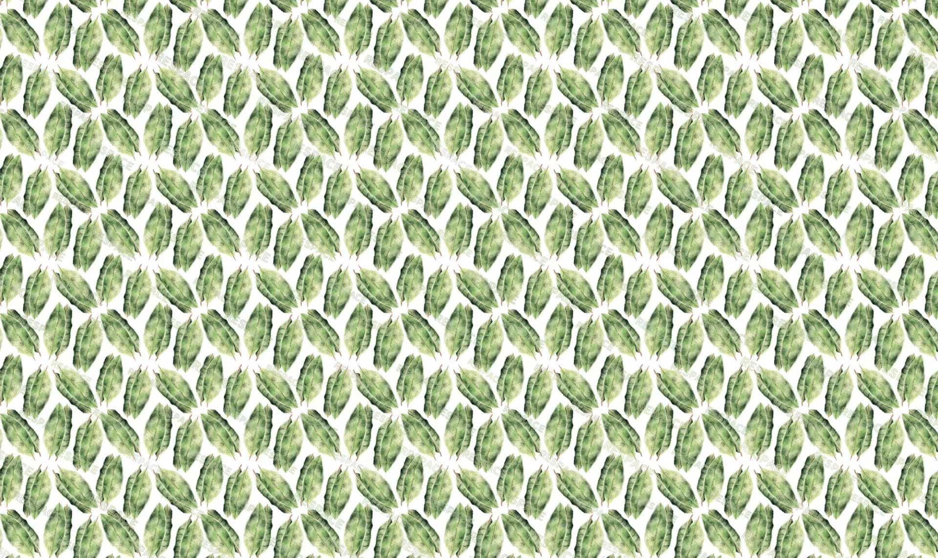Фотообои Respace RS-WAT-9 (Эвкалипт) — Respace