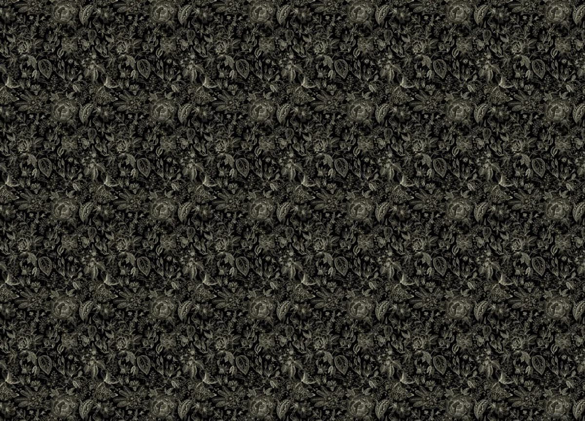 Gloockler Pompoos Provence