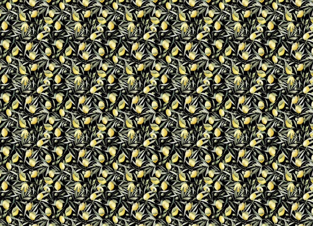 Gloockler Pompoos Provence