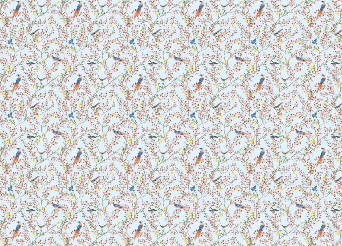 Gloockler Pompoos Provence
