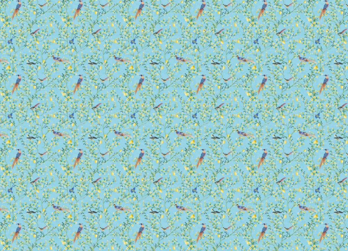 Gloockler Pompoos Provence
