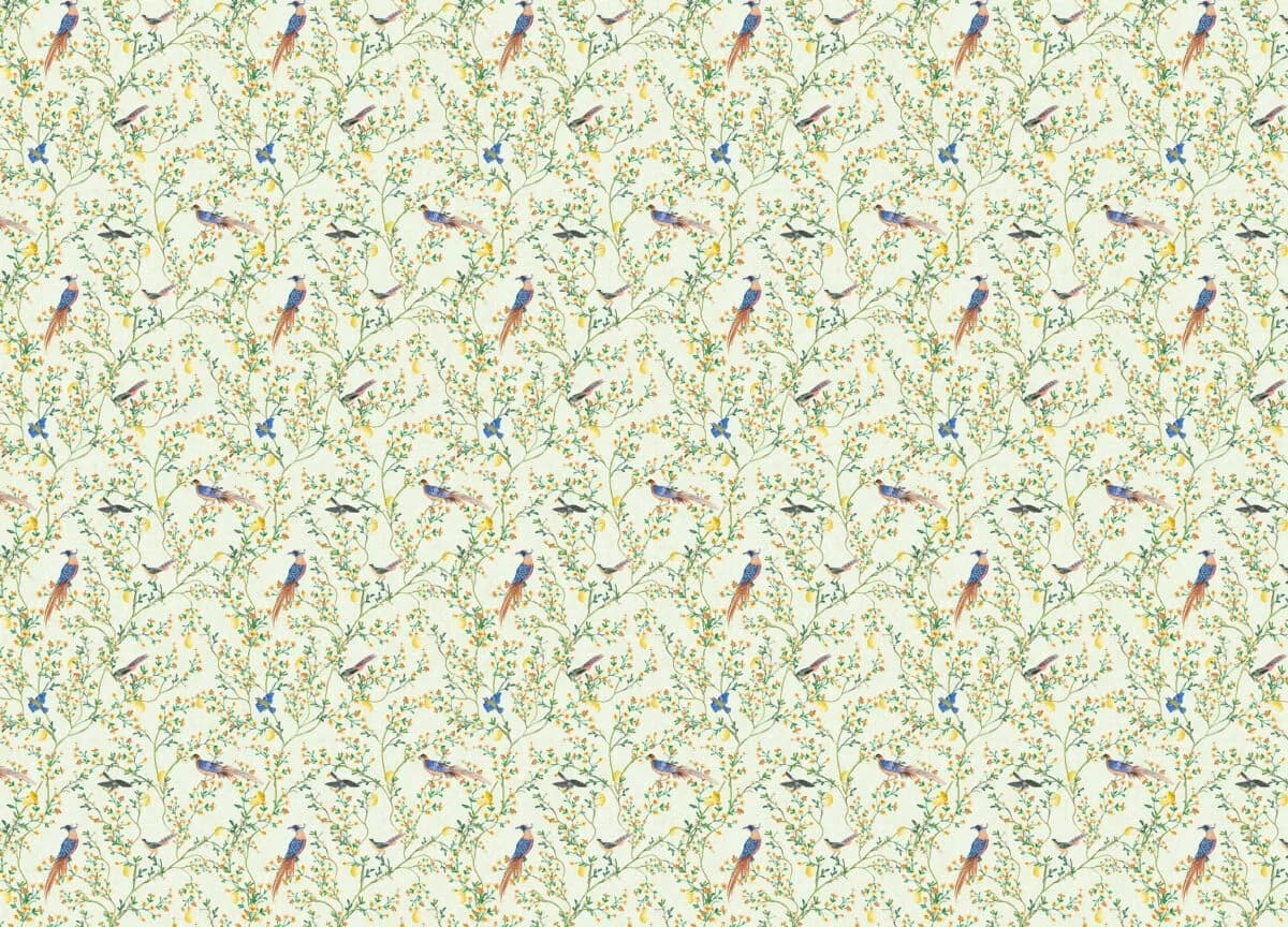 Gloockler Pompoos Provence