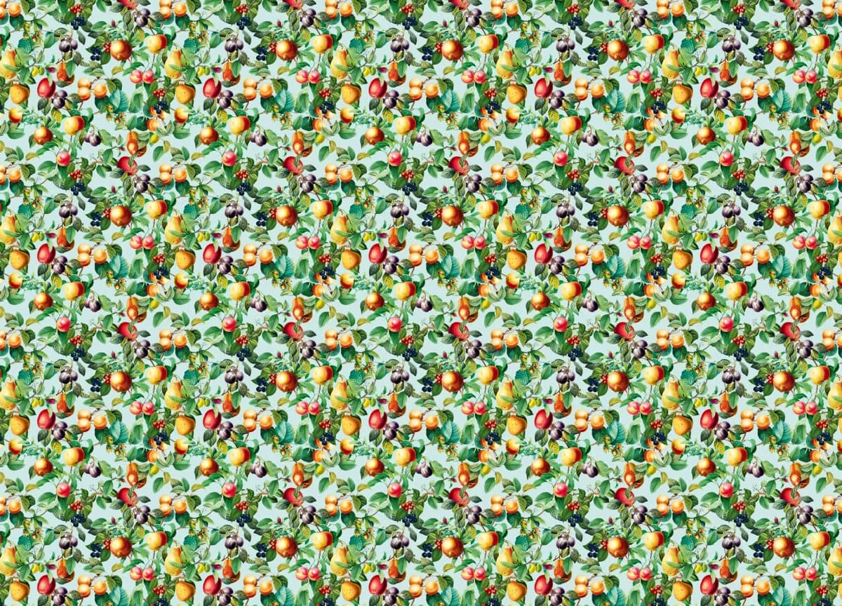 Gloockler Pompoos Provence