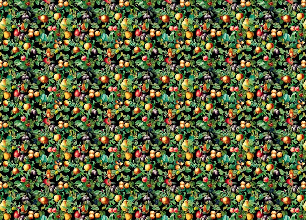 Gloockler Pompoos Provence