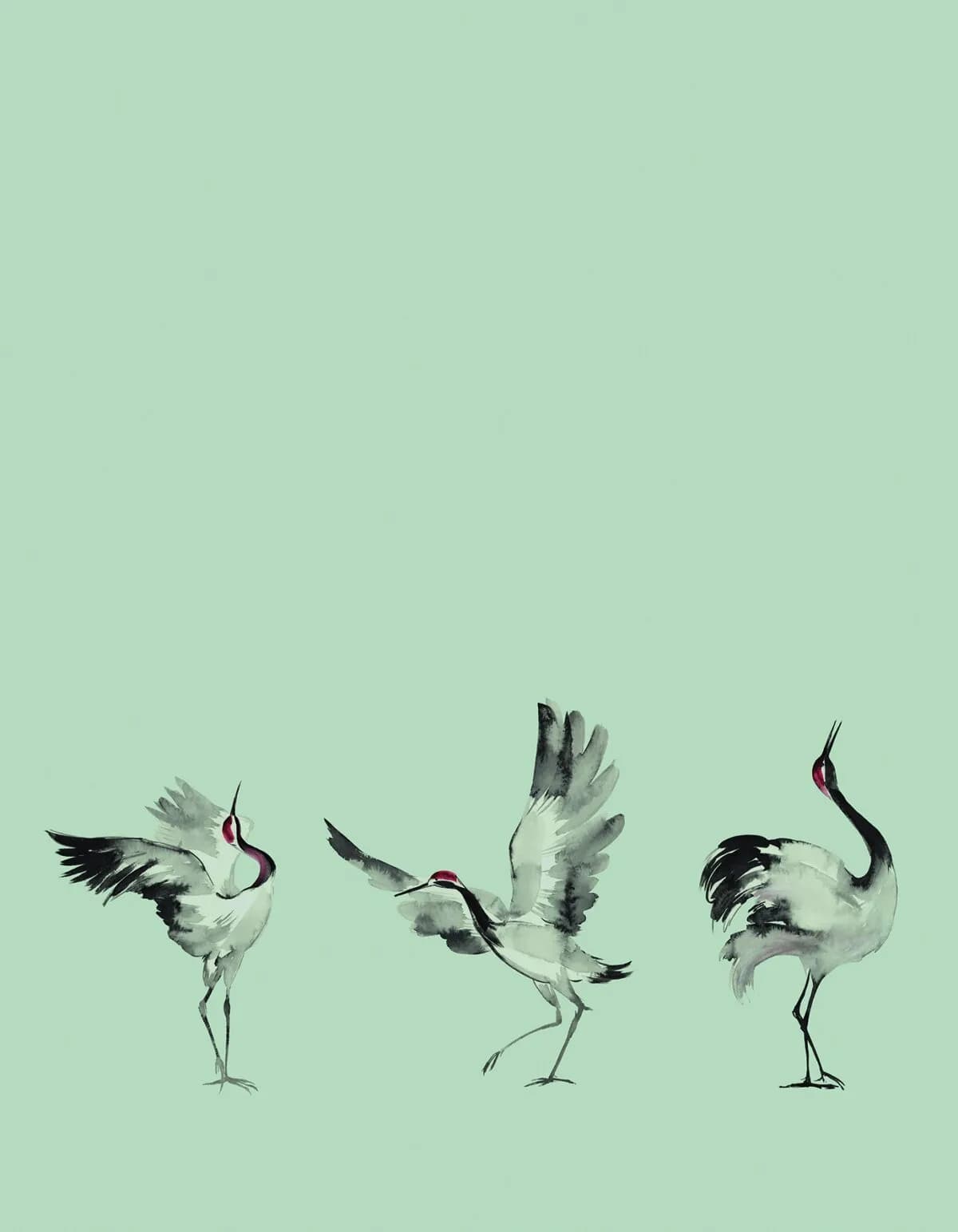 Crush Motion