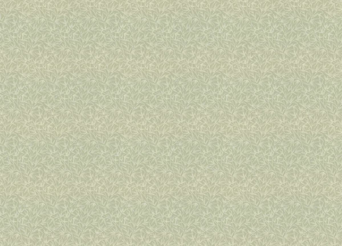 Novella
