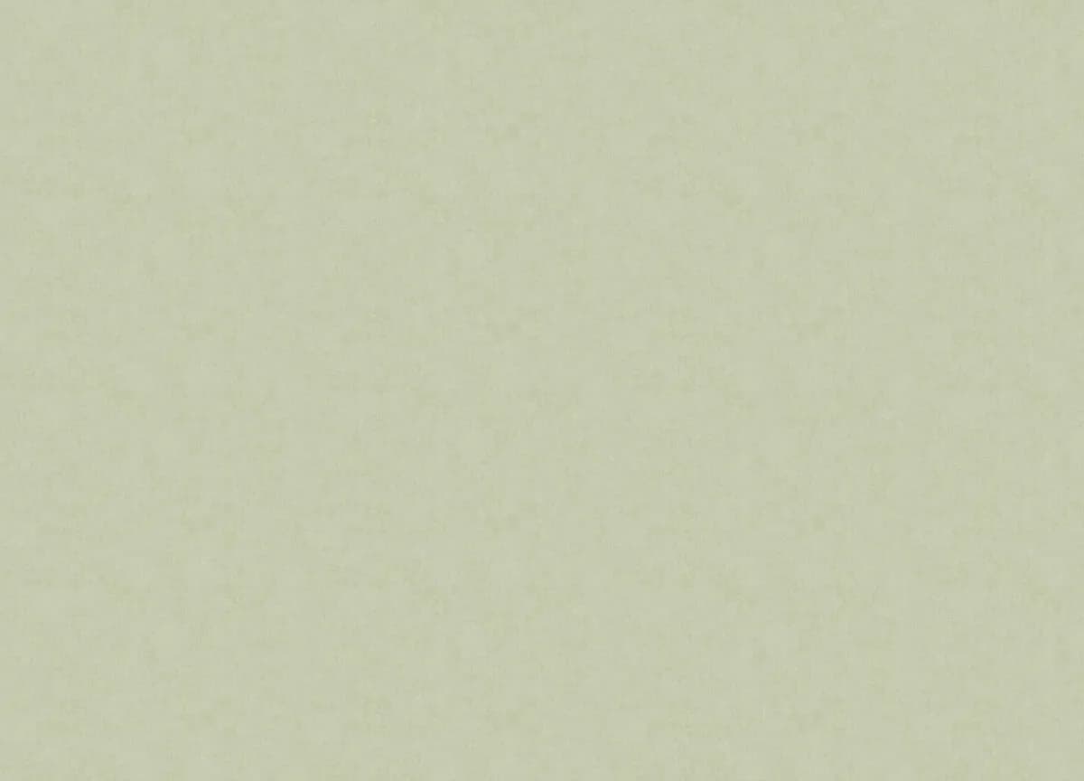 Расцветка ARTS13 005