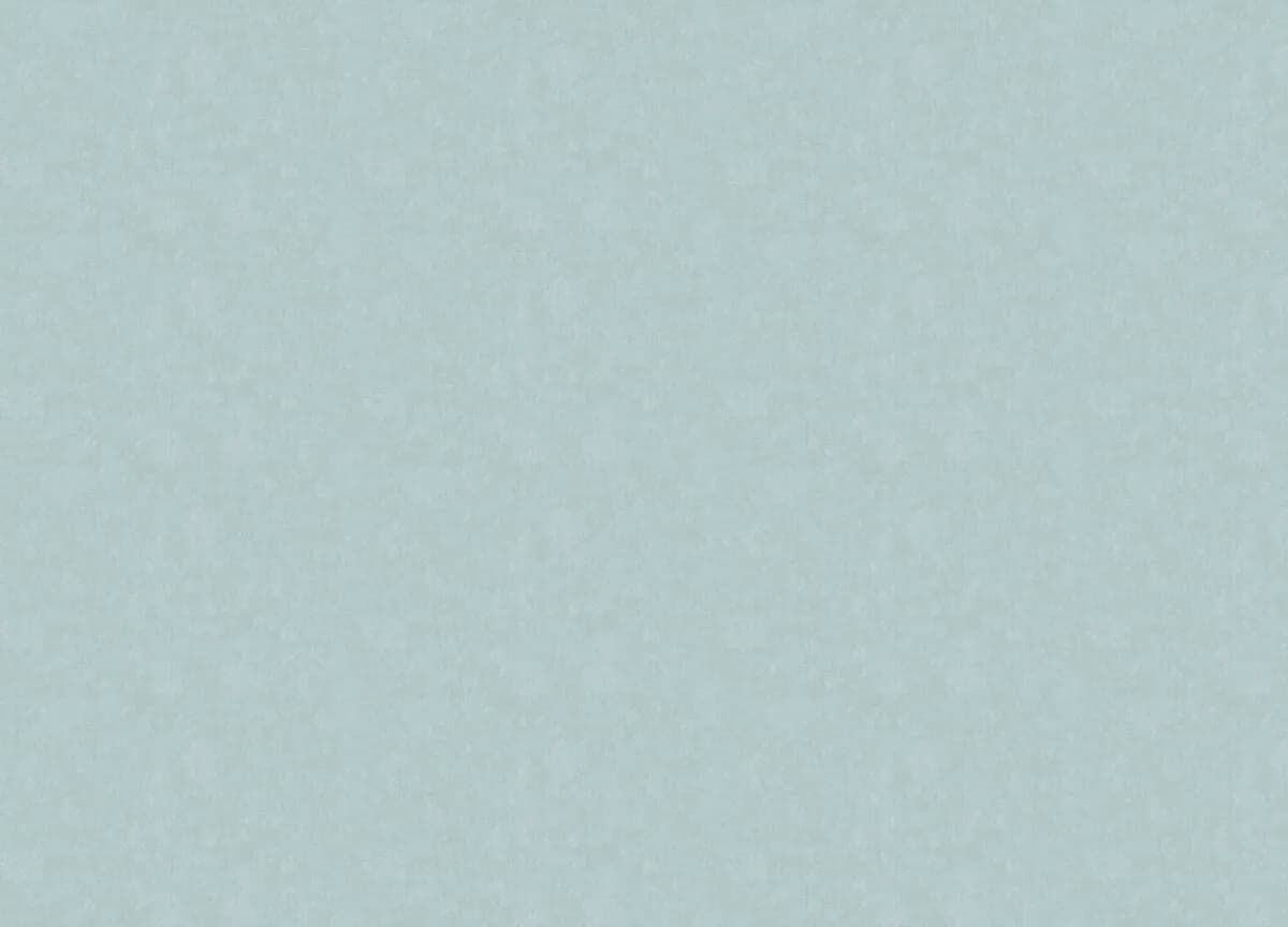 Расцветка ARTS13 006
