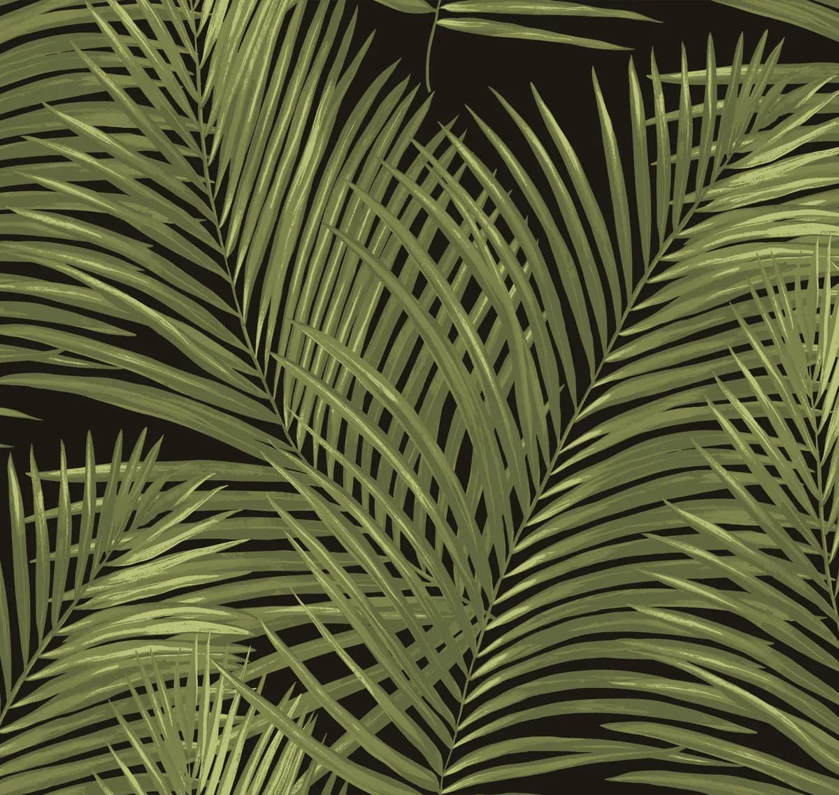 Amazonia