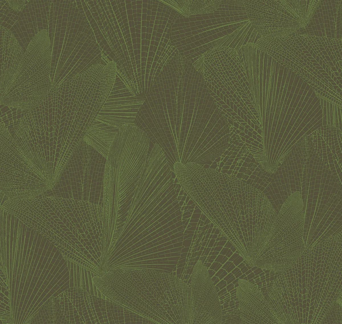 Amazonia