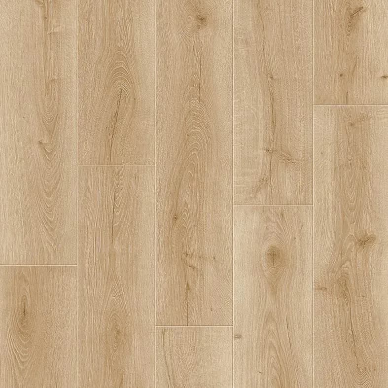 Skara pro Дуб Пчелиный, 1,573 м²