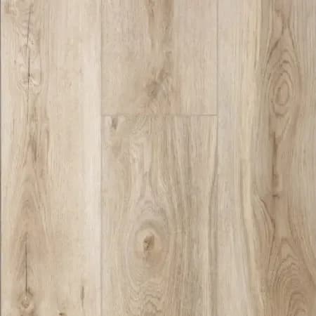 Renzo R203, 2,232 м²