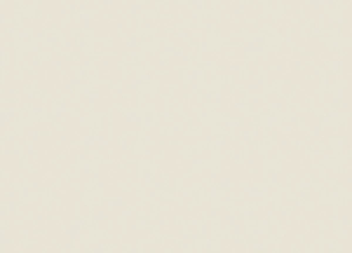 Special Edition