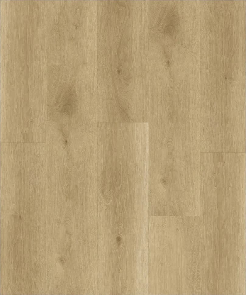 Strong Step Comfort Savanna, 2,208 м²