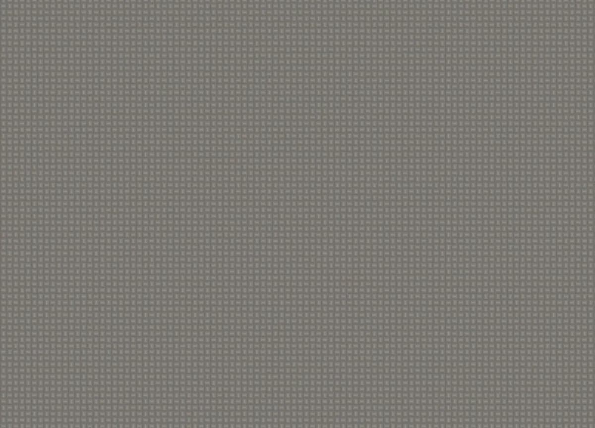 Mini Trend