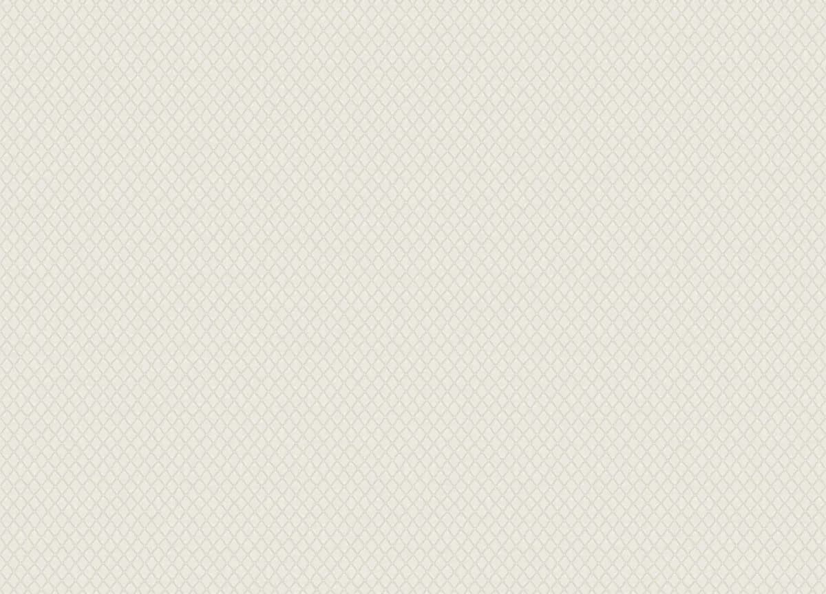 Mini Trend