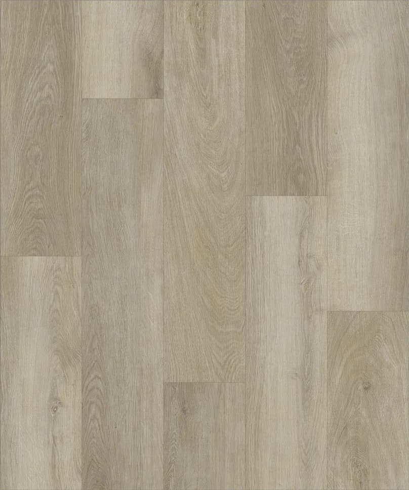 Strong Step Expert XXL Chablis, 2,172 м²