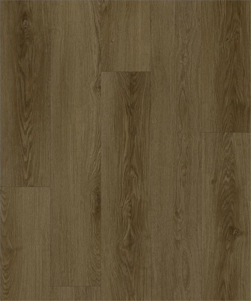 Strong Step Expert XXL Sherwood, 2,172 м²