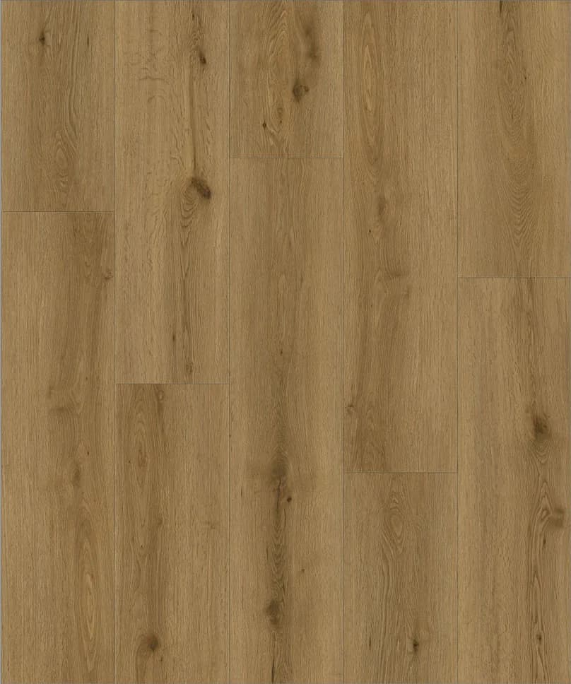 Strong Step Expert XXL Bari, 2,172 м²
