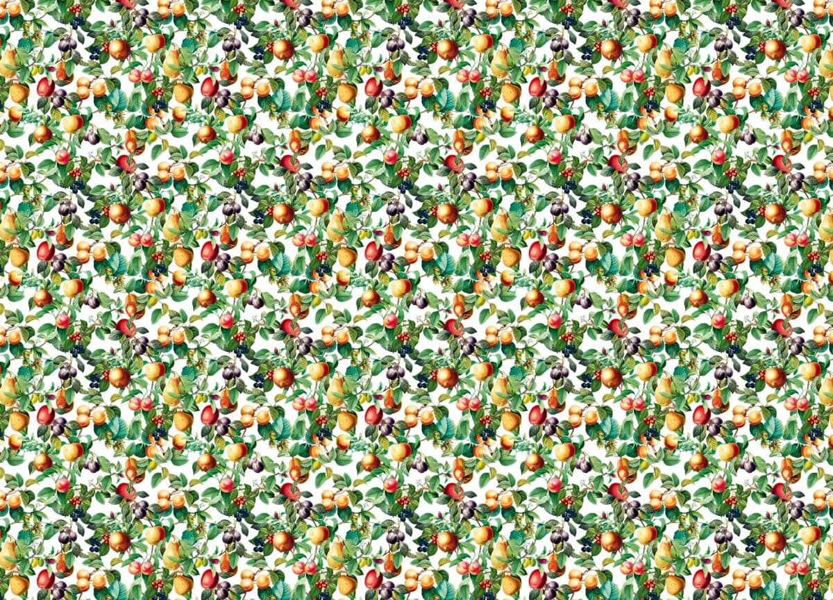 Gloockler Pompoos Provence