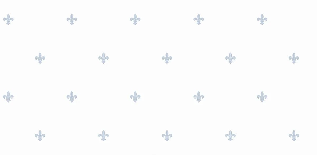 Расцветка 54477-1