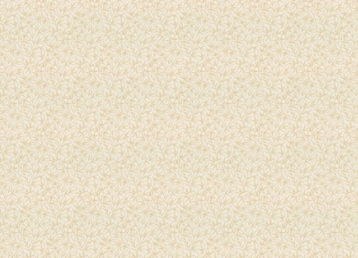 Novella