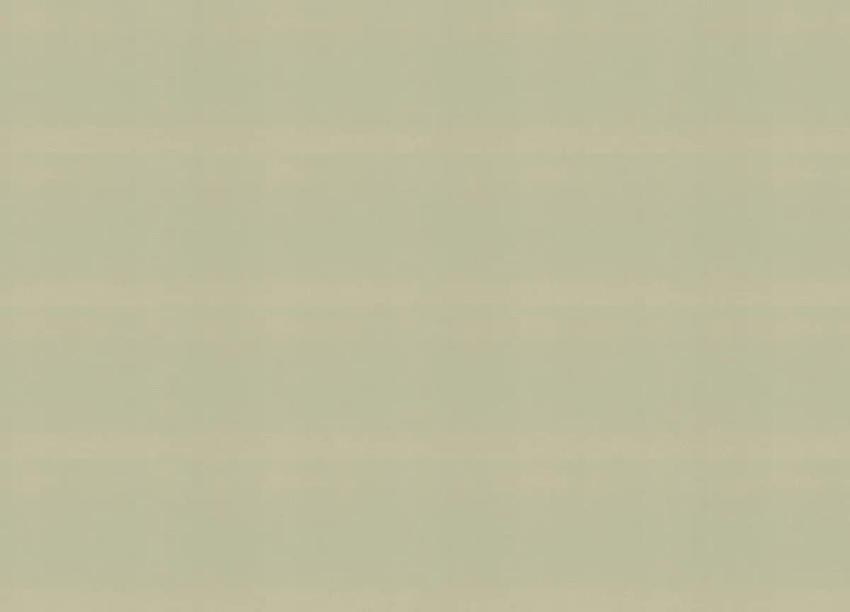 Novella