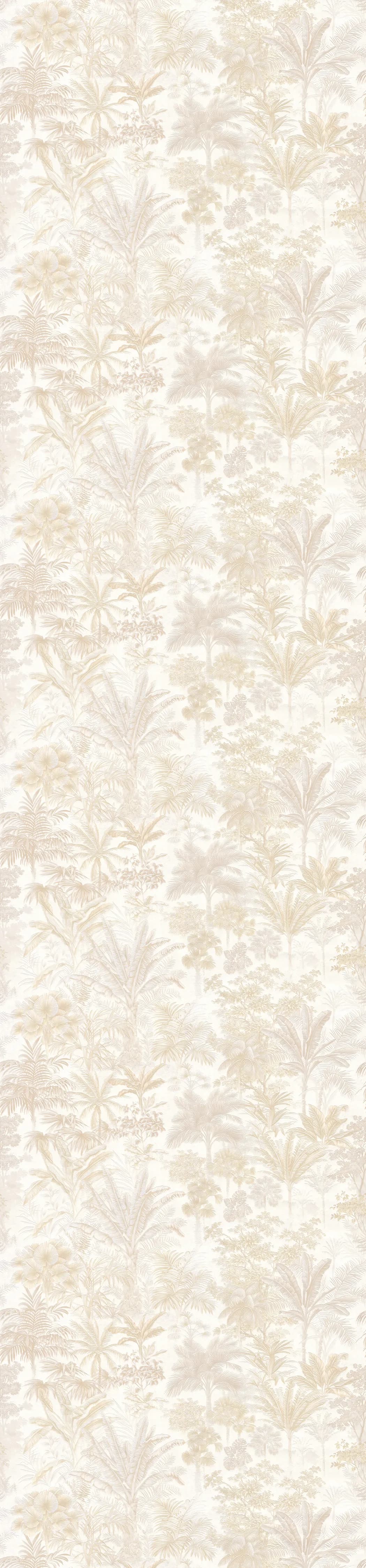 Расцветка 6202