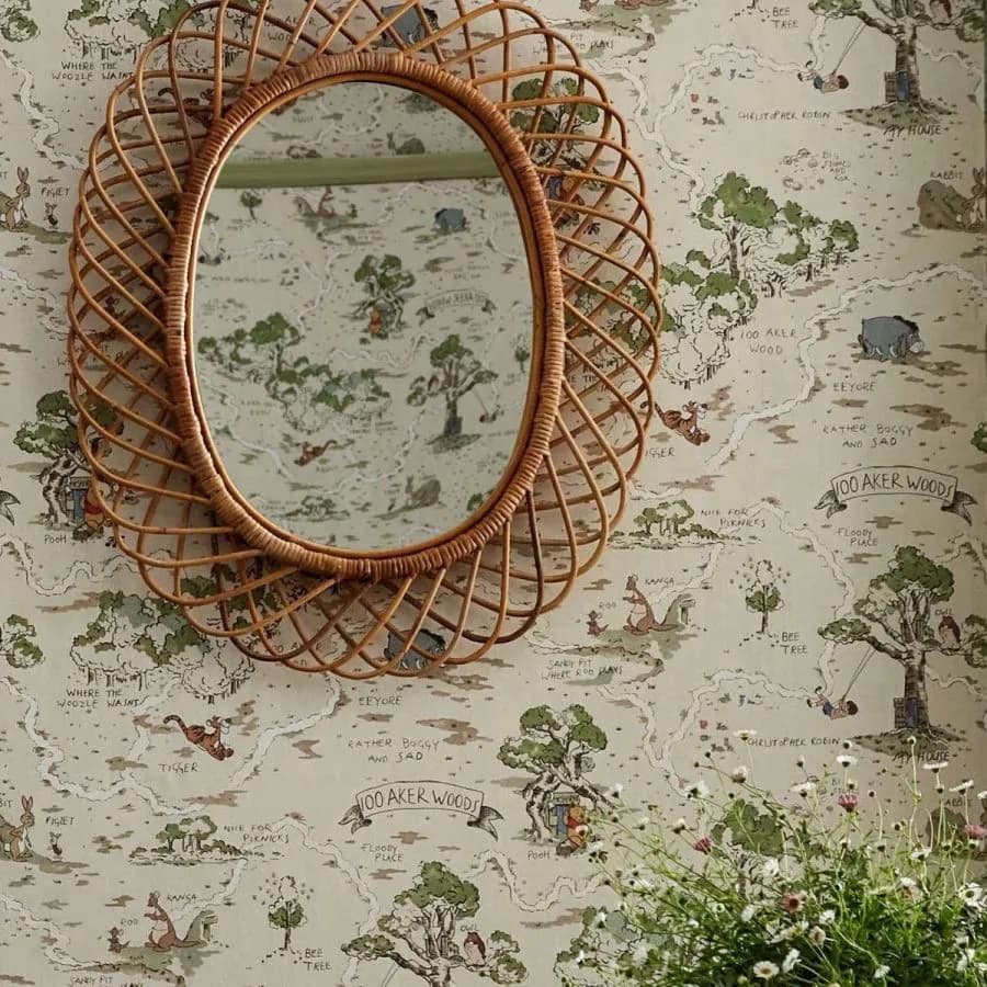 Disney Home