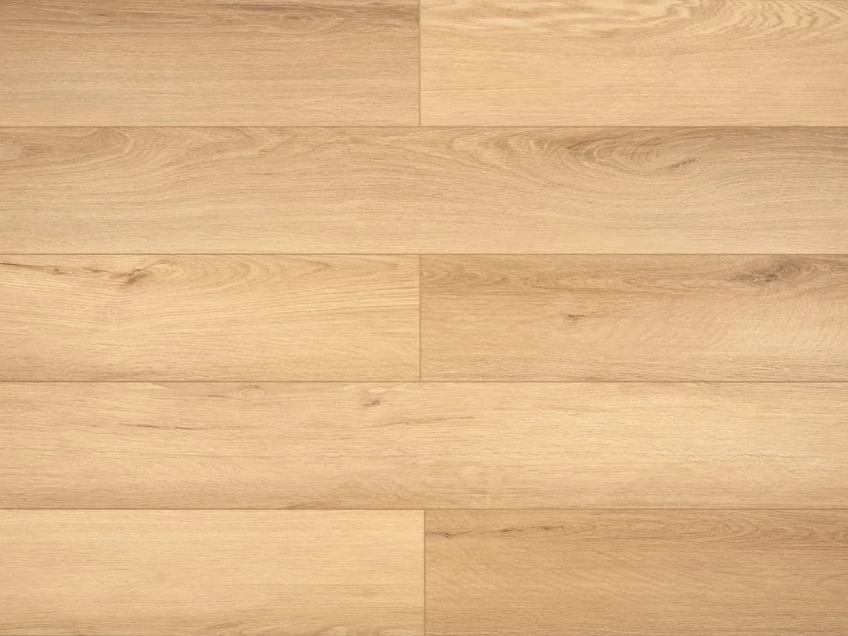 My Step SPC Aqua 169 Гленн, 1,663 м²