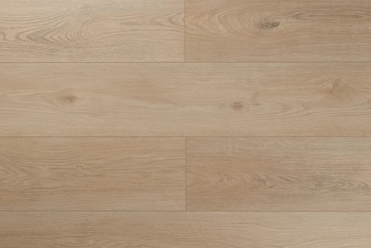 My Step Stone Дуб Тал, 1,435 м²