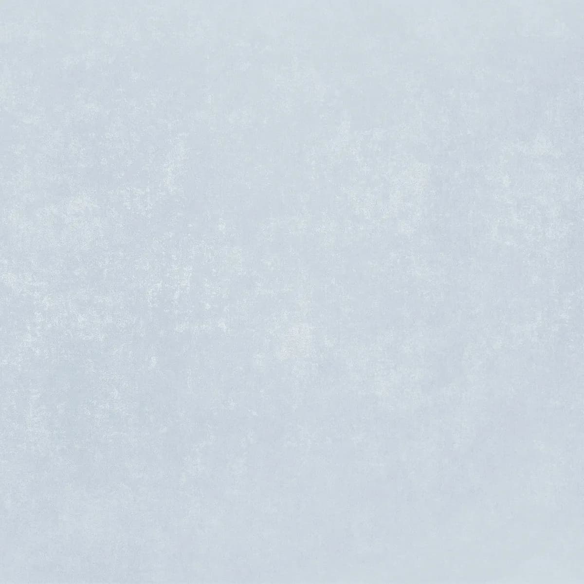 Биги Плюс