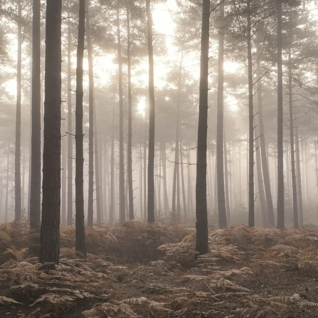 Atmosphere
