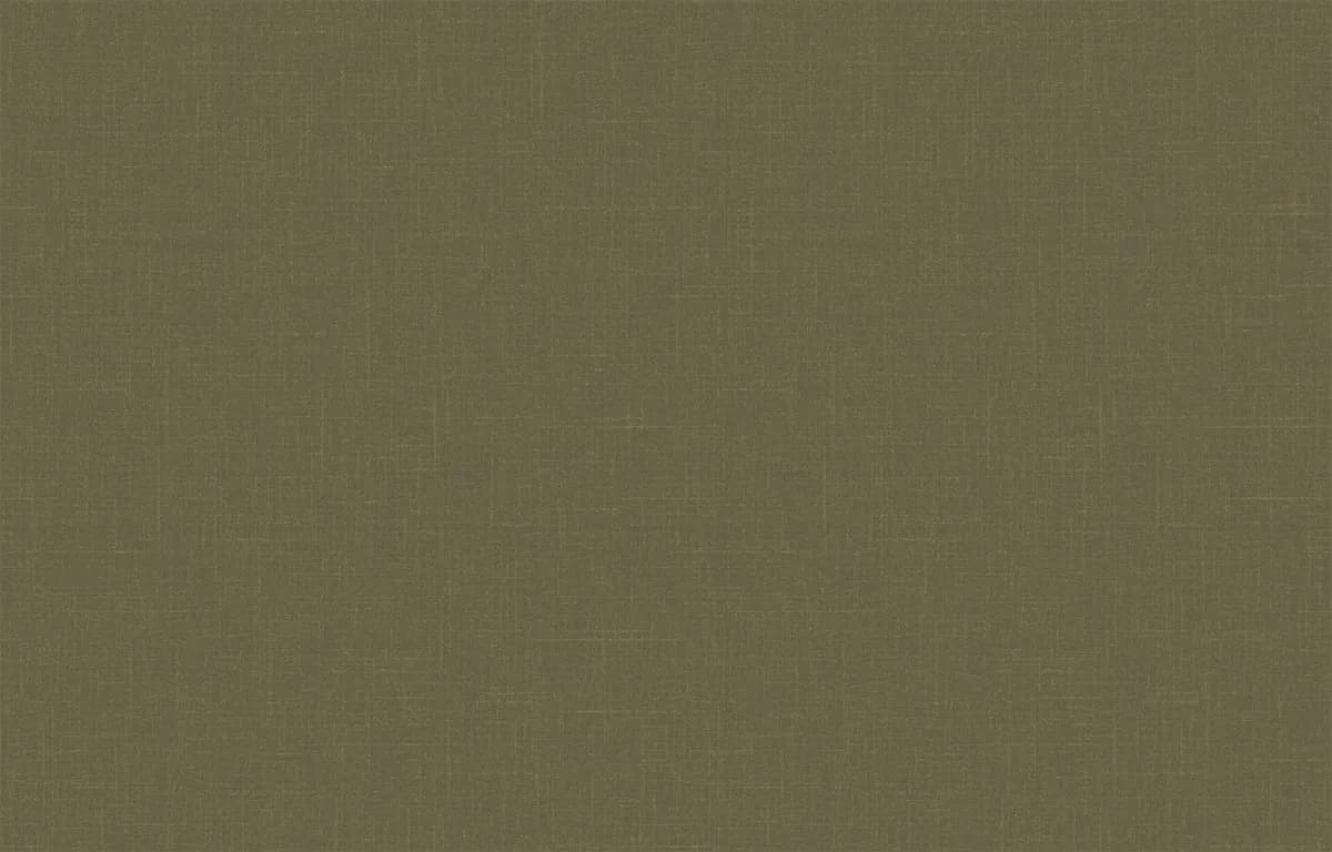 Расцветка PLZ8 005/2