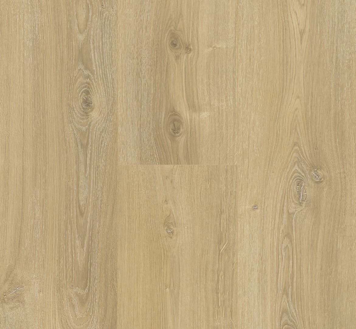 Basic 600 XS Дуб Нова холоден, 2,186 м²