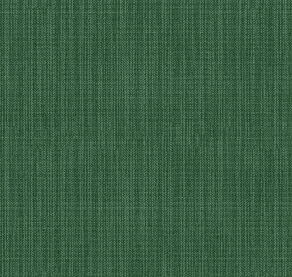 Расцветка GC5 005